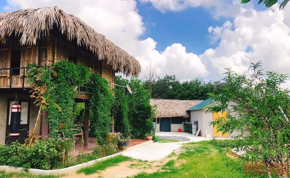 Người phụ nữ bản Thổ khát vọng hồi sinh những cánh rừng và giấc mơ sinh kế bền vững -0