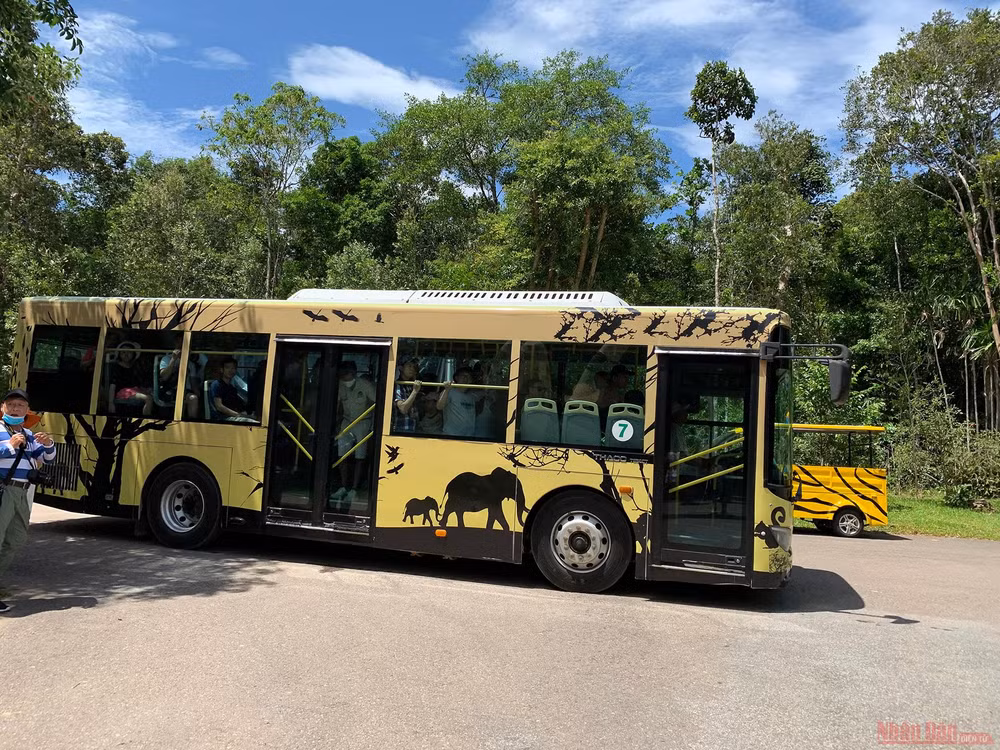 31_safari_phu_quoc-1593508371182.jpg