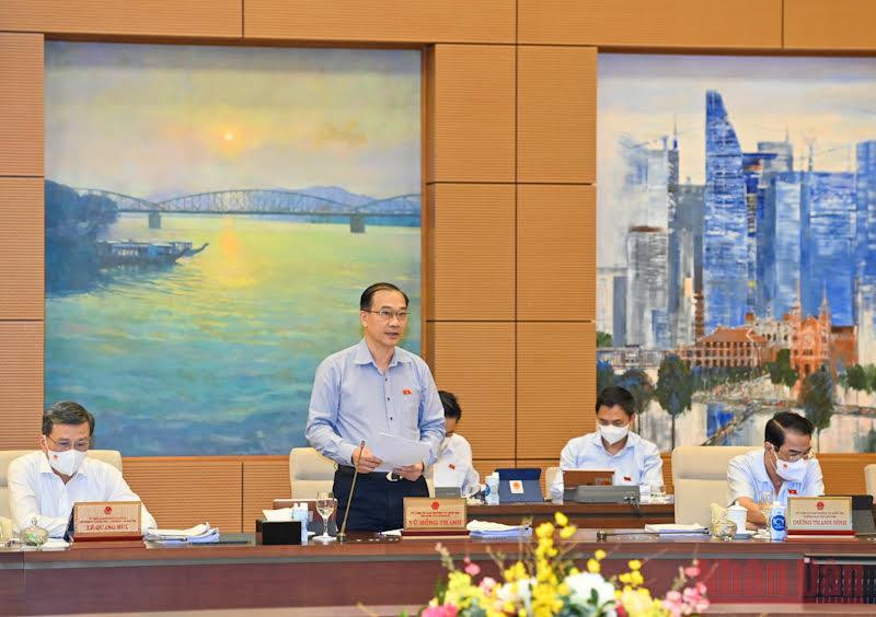 Chủ nhiệm Ủy ban Kinh tế Vũ Hồng Thanh trình bày báo cáo thẩm tra tại phiên họp. Ảnh: Duy Linh Tái cơ cấu kinh tế theo hướng “xanh hơn, số hóa, tăng năng lực đổi mới sáng tạo” -0