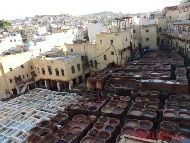 Một góc nhuộm vải ở medina, thành Fez Tản mạn những cung đường Morocco -0