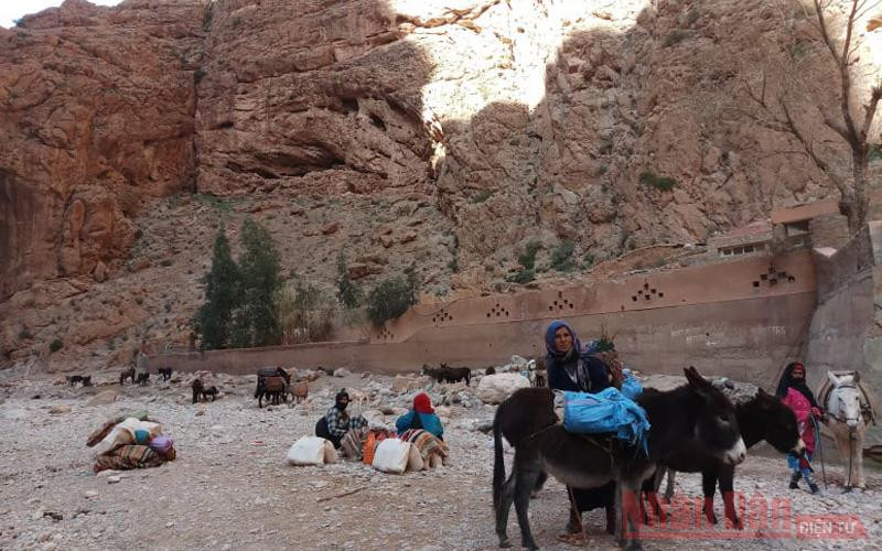 Một người phụ nữ Berber ở miền nam Morocco Tản mạn những cung đường Morocco -0