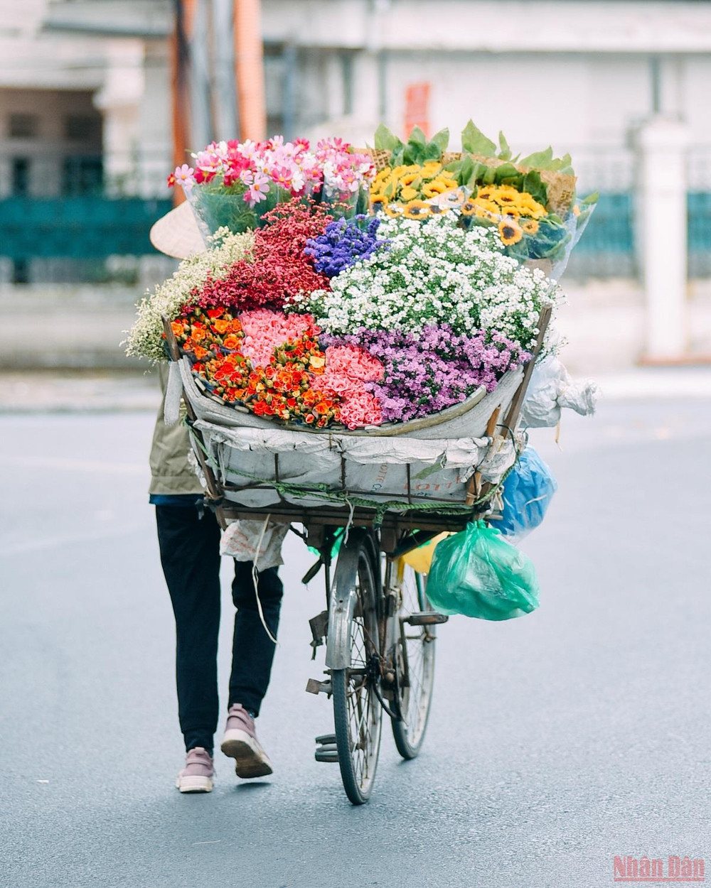 Không khó để có thể bắt gặp những xe hoa rực rỡ sắc màu đi trên phố. Xôn xao Hà Nội mùa