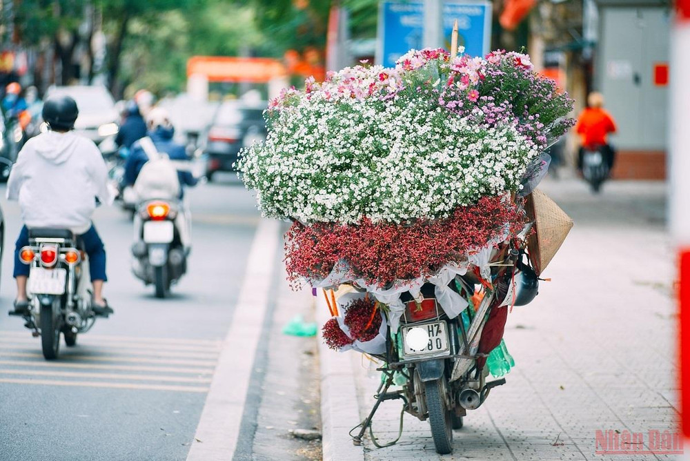 Những bó hoa rực rỡ đủ loại sắc màu được chở phía sau những chiếc xe hàng rong là hình ảnh quen thuộc của Hà Nội. Xôn xao Hà Nội mùa