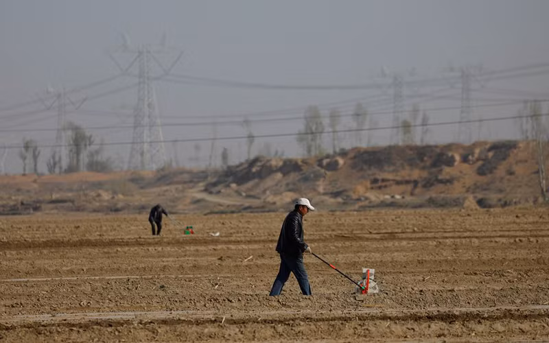 Ảnh minh họa. (Ảnh: Reuters).