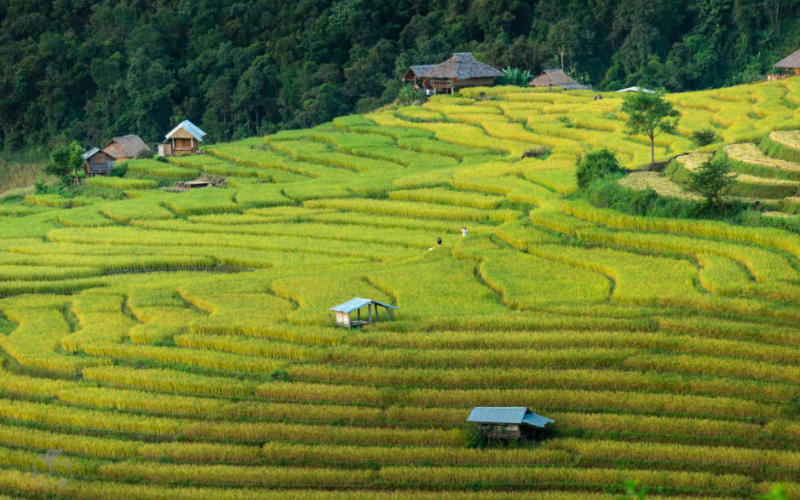 Khu ruộng bậc thang ở Mae Chaem, Chiang Mai, một trong những địa điểm quay phim được ưa chuộng tại Thái Lan. (Ảnh: Bưu điện Bangkok)