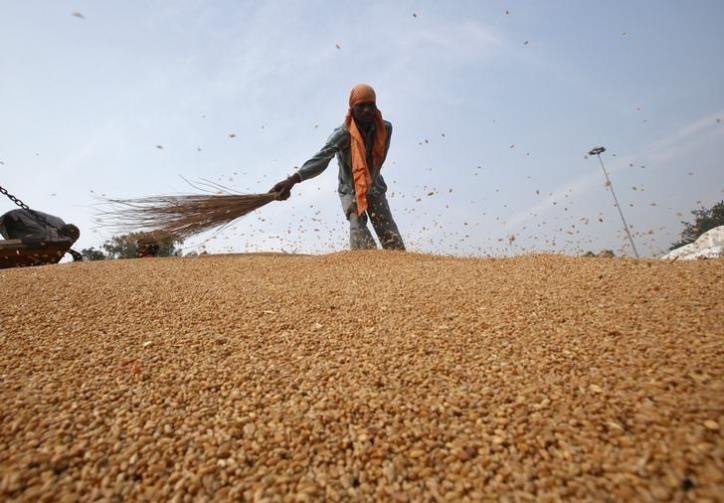  Giá lương thực thế giới tăng đáng kể. (Ảnh minh họa: Reuters/TTXVN)