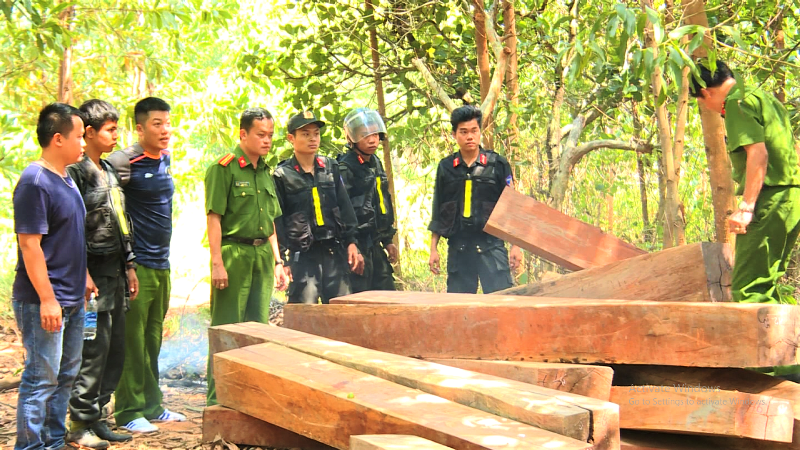 Vào tháng 8-2019, lực lượng Công an phát hiện nhiều điểm tập kết gỗ trái phép ở bìa rừng do Công ty lâm nghiệp Ea Kar quản lý nằm trên địa bàn xã Cư Yang, huyện Ea Kar. Bắt giam nguyên Giám đốc Công ty lâm nghiệp Ea Kar -0
