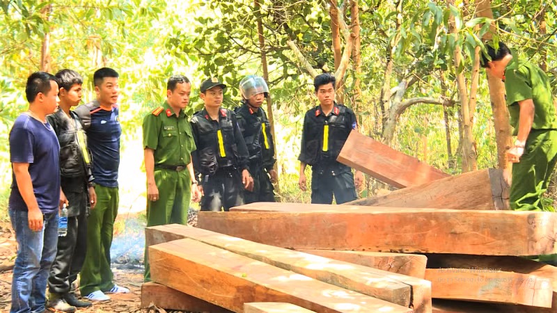 Bắt giam nguyên Giám đốc Công ty lâm nghiệp Ea Kar -0