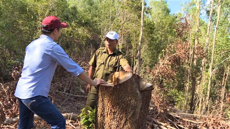 Bắt giam nguyên Giám đốc Công ty lâm nghiệp Ea Kar -0