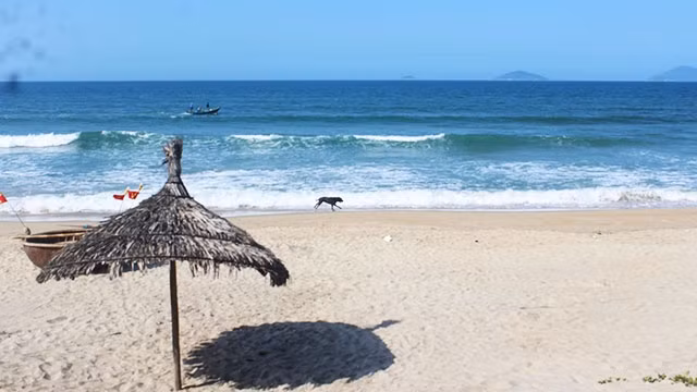 Mùa biển vắng.