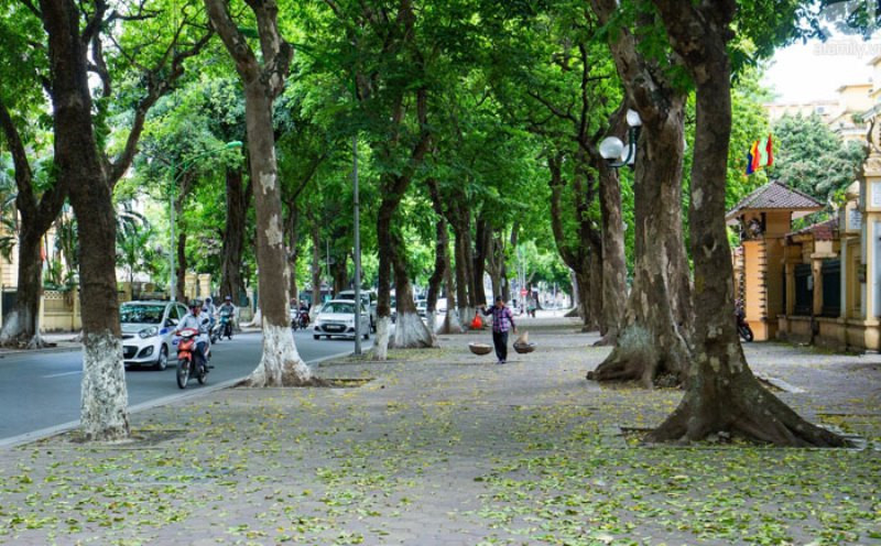 Ảnh minh họa.