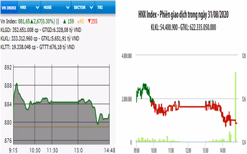 Diễn biến VN-Index và HNX-Index, phiên giao dịch ngày 31-8. 