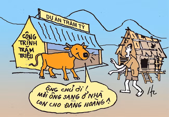 Ngu như bò ??? -0