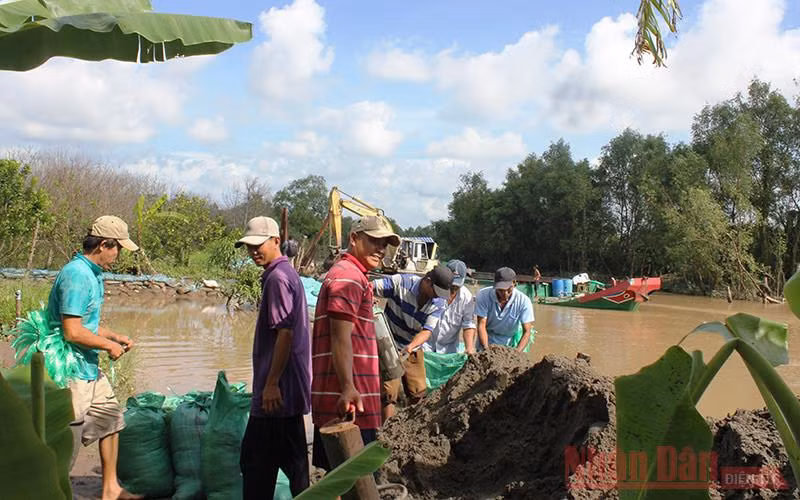 Nhà vườn Bến Tre khốn khổ vì vỡ đê bao -0