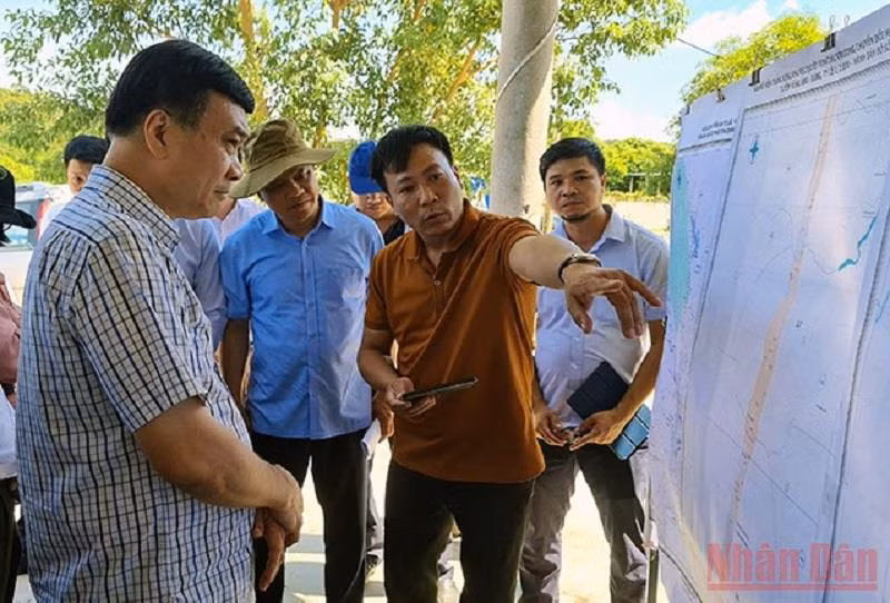 Hạn chế thấp nhất việc chuyển đổi rừng phòng hộ khi thực hiện dự án đường bộ cao tốc bắc-nam -0