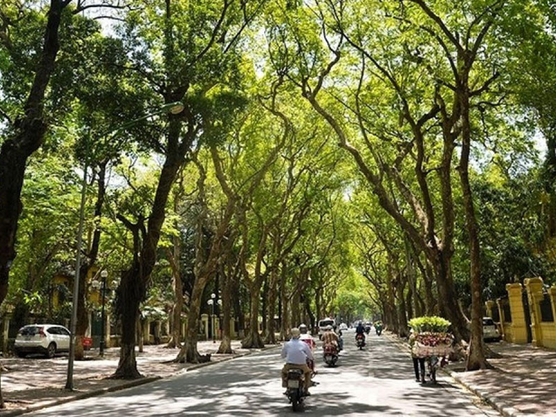Ảnh minh họa.