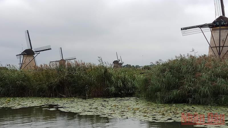 Những chiếc cối xay gió ở Kinderdijk. Hà Lan – cuộc chuyện trò của nước -0