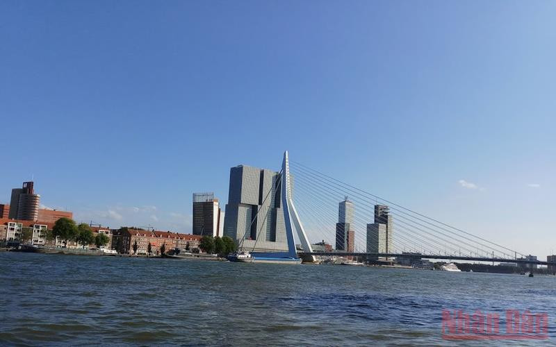 Sông Rotterdam với cây cầu Erasmus. Hà Lan – cuộc chuyện trò của nước -0