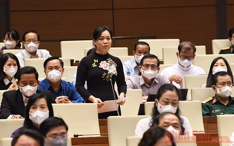 Xây dựng nông thôn mới bền vững trên nền tảng chủ thể là người nông dân -0