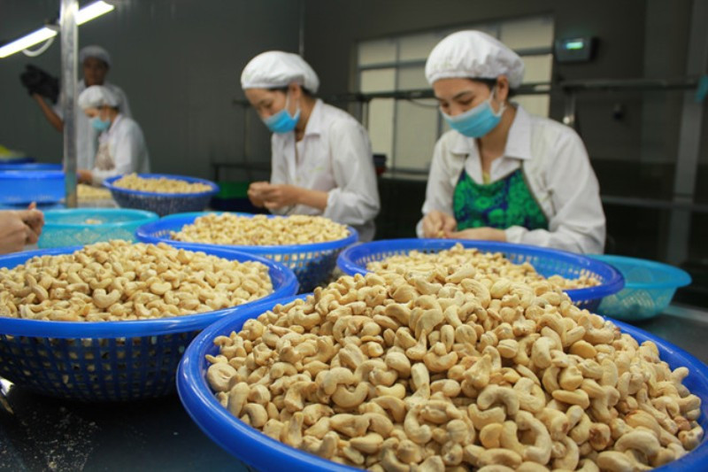 Ngành điều Việt Nam đang chiếm ưu thế tại thị trường Thổ Nhĩ Kỳ.