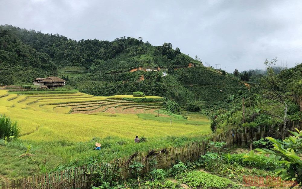 Từ homestay nhìn ra hướng đồi mâm xôi. Ngôi nhà có quả đồi mâm xôi -0