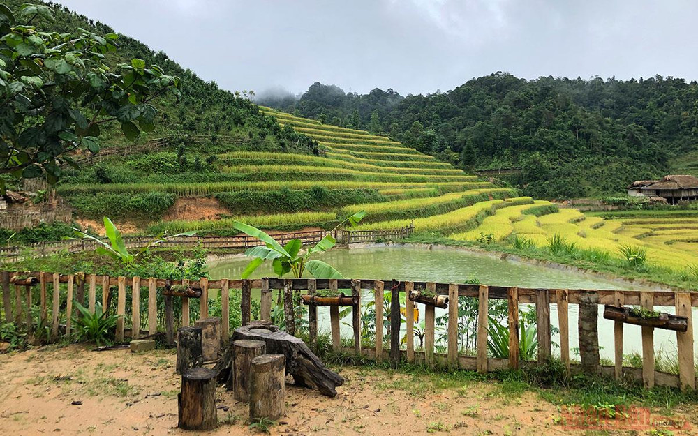 Góc sân nhỏ vào ao cá. Ngôi nhà có quả đồi mâm xôi -0