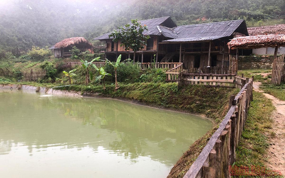 Căn nhà của gia đình Hà - Thông. Ngôi nhà có quả đồi mâm xôi -0