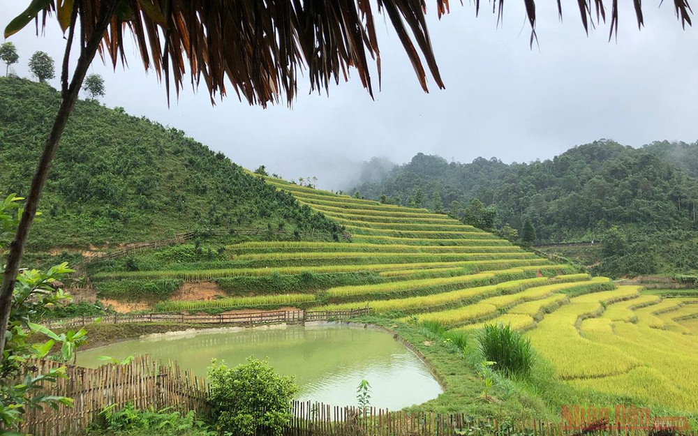 Khung cảnh nhìn từ chòi ăn trưa. Ngôi nhà có quả đồi mâm xôi -0