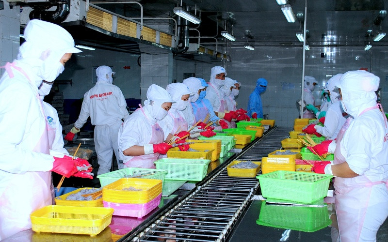 Lao động phổ thông chiếm phần lớn tại các doanh nghiệp chế biến thủy sản xuất khẩu tại Cà Mau. Giải quyết việc làm sau giãn cách ở Cà Mau -0