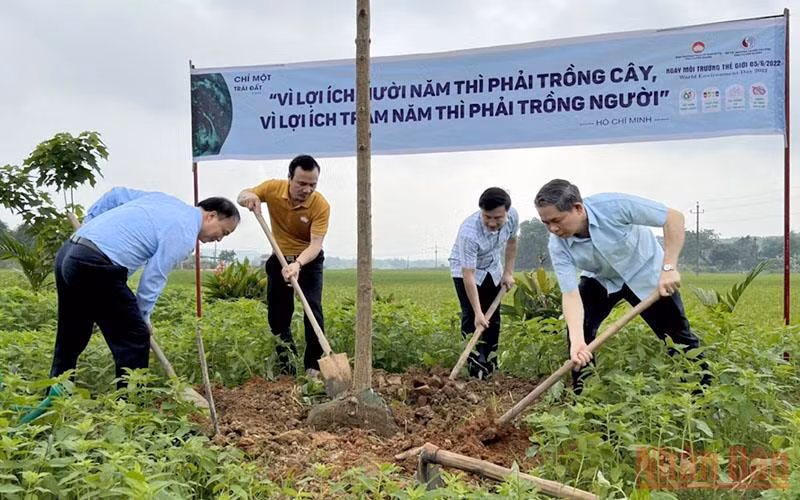 Các đại biểu tham gia trồng cây xanh bảo vệ môi trường.