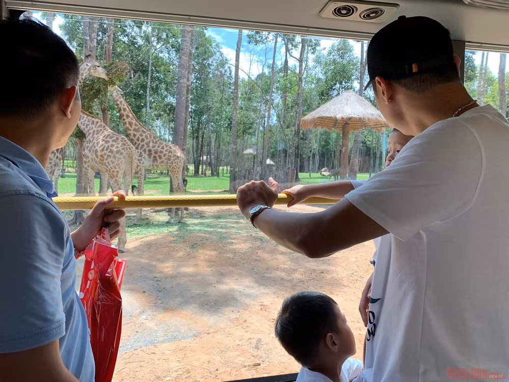 Trải nghiệm công viên động vật hoang dã Safari Phú Quốc -0