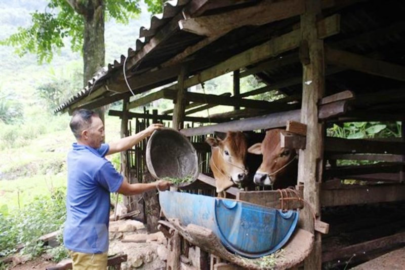(Ảnh minh họa: TTXVN) Xây dựng Cơ sở dữ liệu quốc gia về kiểm soát tài sản, thu nhập -0