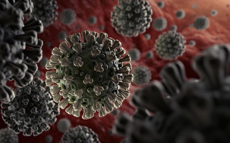 Ảnh minh họa virus SARS-CoV-2. (Nguồn: WHO)