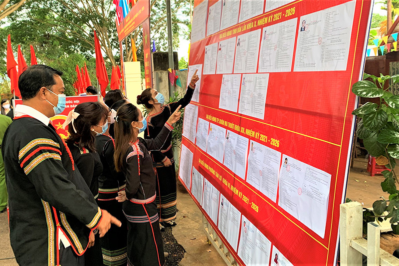 Các cử tri TP Buôn Ma Thuột nghiên cứu kỹ tiểu sử các ứng cử viên trước khi vào bầu cử. Đồng bào các dân tộc Đắk Lắk nô nức trong Ngày hội non sông -0