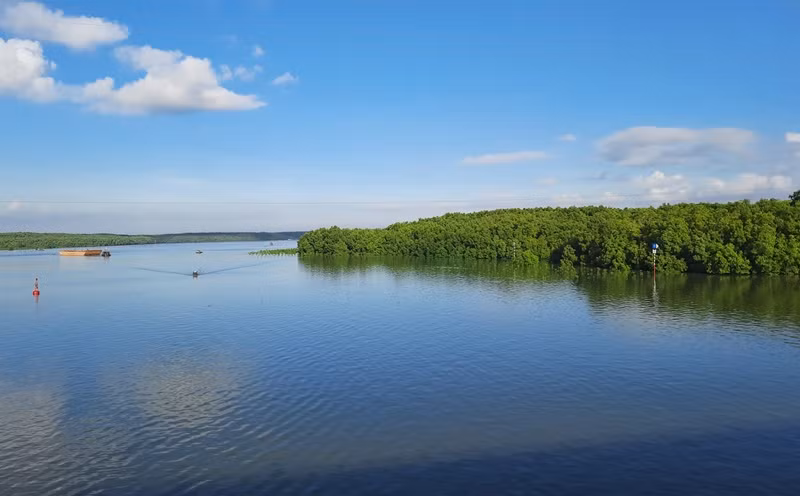 Một góc Khu dự trữ sinh quyển rừng ngập mặn Cần Giờ.