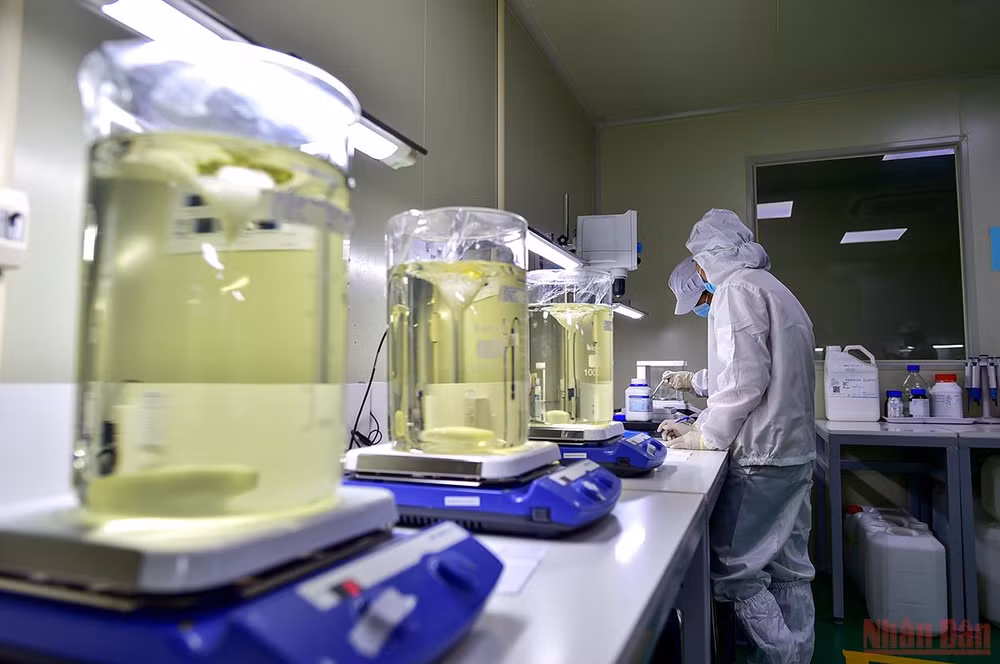 Cận cảnh quy trình sản xuất kit Test nhanh kháng nguyên SARS-CoV-2 “Made in Viet Nam” -0