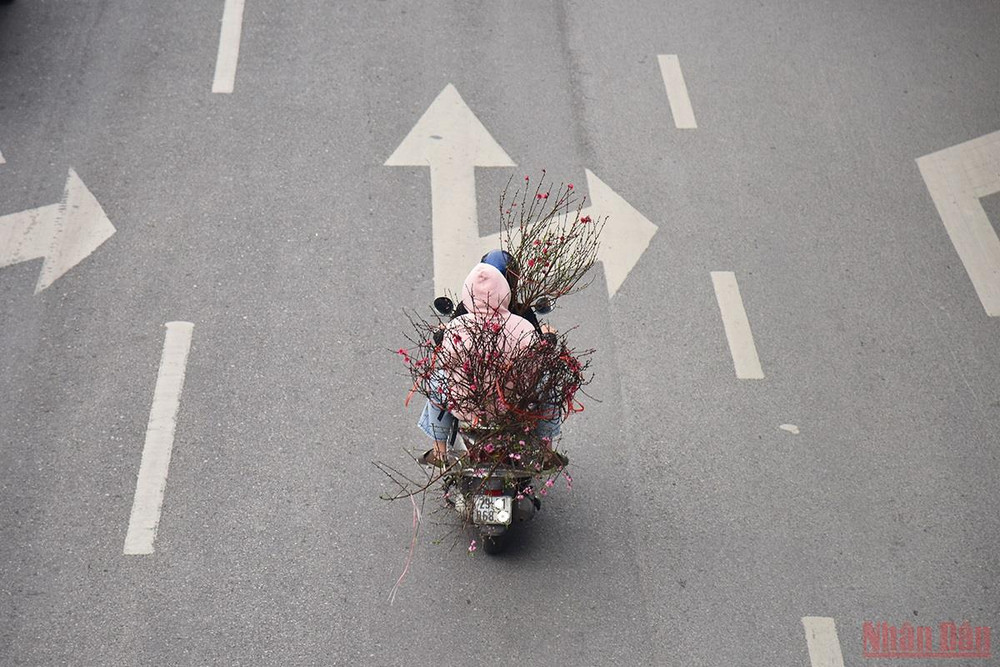 Người dân Hà Nội tất bật sắm sửa cho ngày Tết. (Ảnh: Minh Duy) Hà Nội sôi động thị trường đào, quất ngày 28 Tết -0