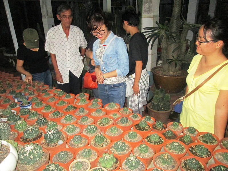 Ông Giác giới thiệu cây xương rồng với một bạn trẻ đang nghiên cứu loài cây này. Người mê… xương rồng ở miền tây -0