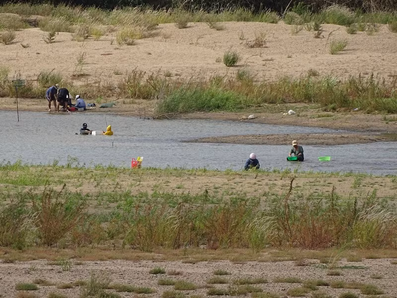 Nỗ lực tìm nguồn nước cứu lúa giữa tâm dịch Covid-19. -0