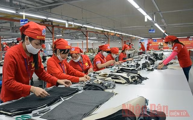 Ảnh minh họa: Duy Linh.