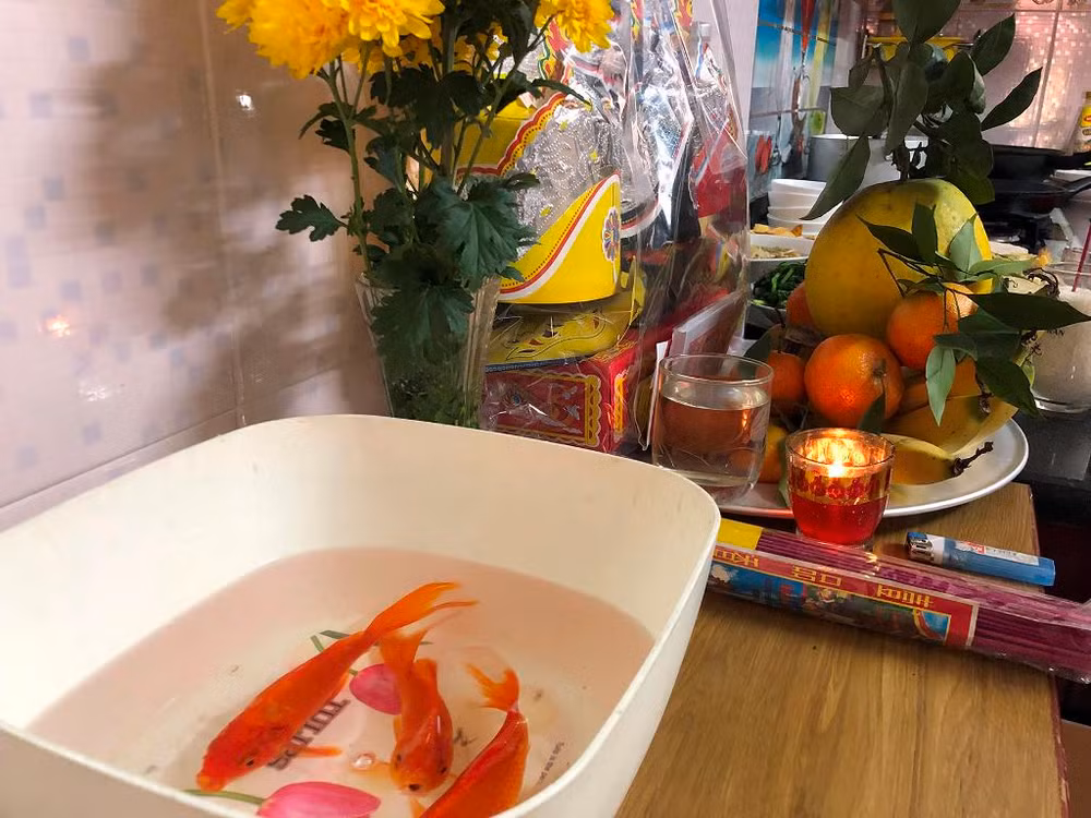 Người dân Hà Nội thả cá chép tiễn ông Táo về trời -0