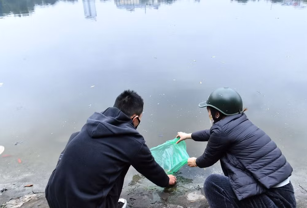 Người dân Hà Nội thả cá chép tiễn ông Táo về trời -0