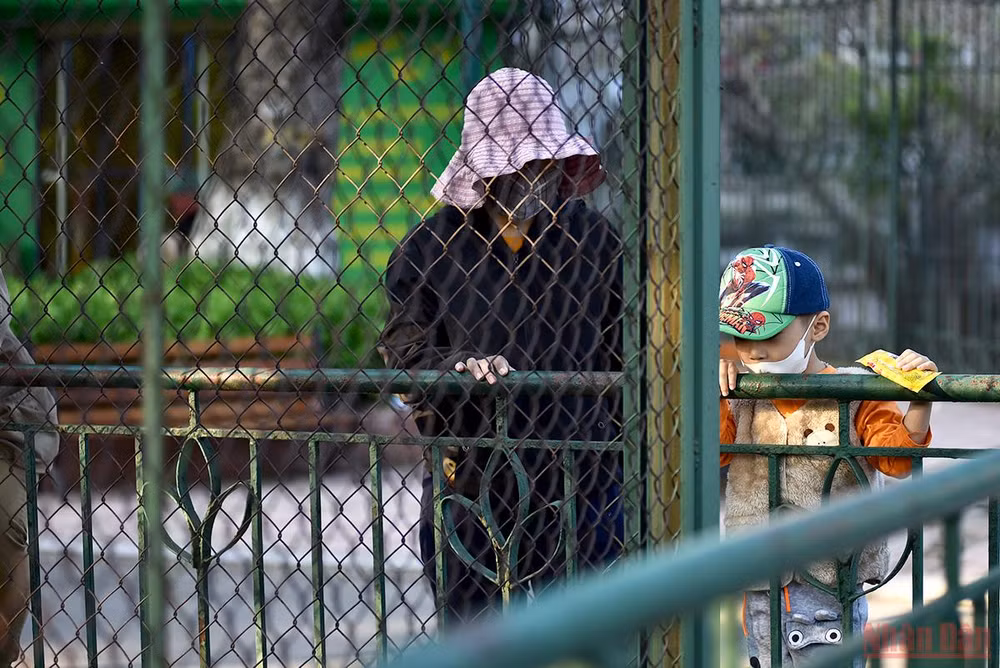 Bé vui khám phá thiên nhiên tại công viên Thủ Lệ sau giãn cách -0