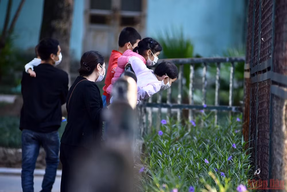 Bé vui khám phá thiên nhiên tại công viên Thủ Lệ sau giãn cách -0