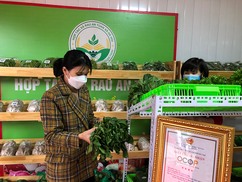 Người tiêu dùng lựa chọn các loại rau được công nhận là sản phẩm OCOP của Hợp tác xã Rau an toàn xã Hà Hồi, huyện Thường Tín, Hà Nội. Hà Nội mở rộng điểm quảng bá sản phẩm OCOP về khu vực ngoại thành -0