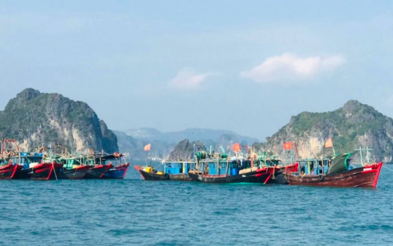Khu vực vùng biển xảy ra vụ việc.