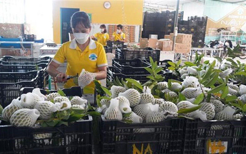 Nhiều doanh nghiệp của Ai Cập rất quan tâm đến các mặt hàng nông sản, thủy sản, dược mỹ phẩm... của Việt Nam.