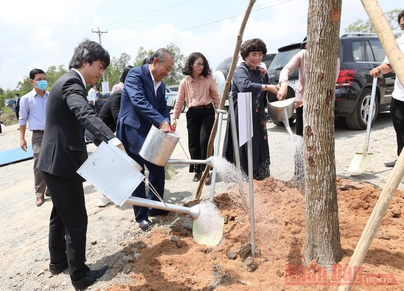 Phó Thủ tướng Trương Hòa Bình trồng cây xanh tại Ô Tà Sóc. Khởi công dự án chăn nuôi bò sữa lớn nhất khu vực đồng bằng sông Cửu Long -0