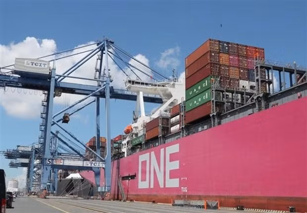 Ảnh minh họa. (Ảnh: TTXVN)