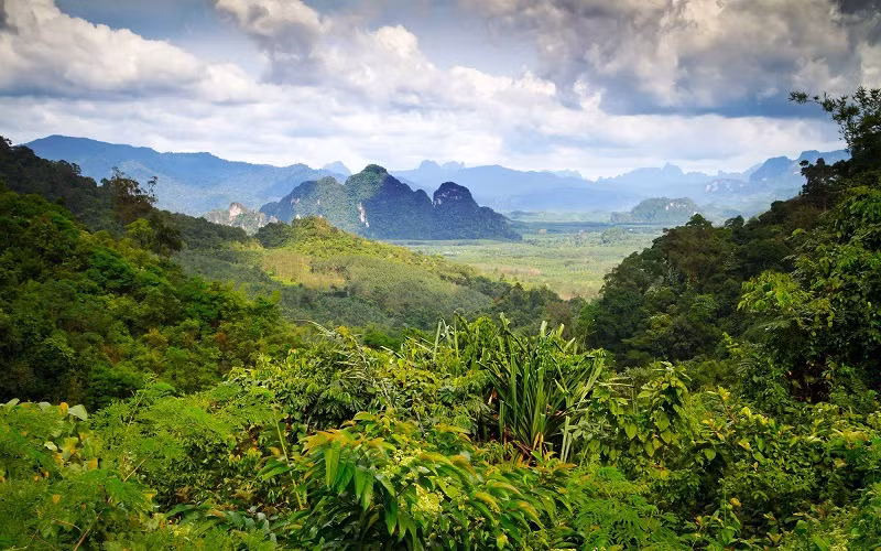 Việc khởi động sáng kiến Thập kỷ Liên hợp quốc đã mở ra một phong trào toàn cầu nhằm phục hồi Trái đất.